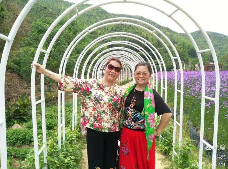 我的恩师——胡秀英